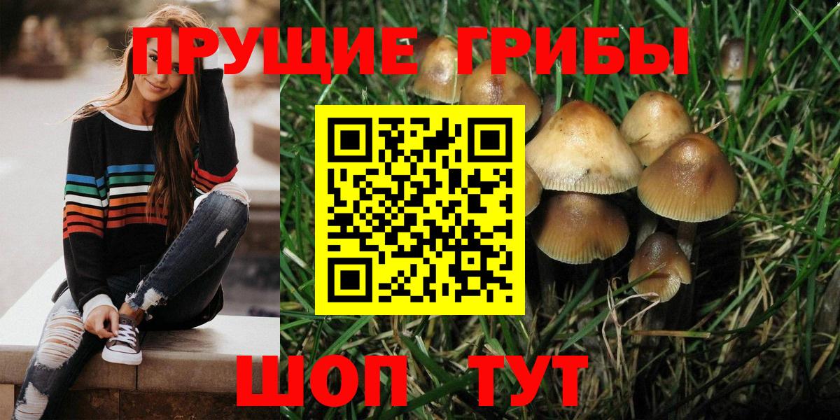 Дзержинский  Галлюциногенные грибы GOLDEN TEACHER  Вход с VPN 